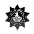 Fuerza Civil
